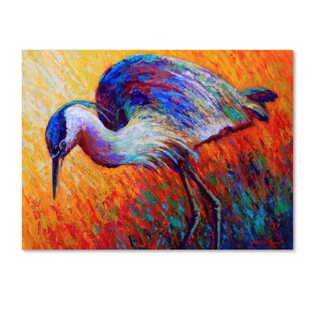 Marion Rose 'Bird Of Dreams' Canvas Art,35x47